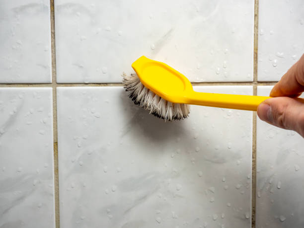 Professional Mold Remediation in Pemberville, OH