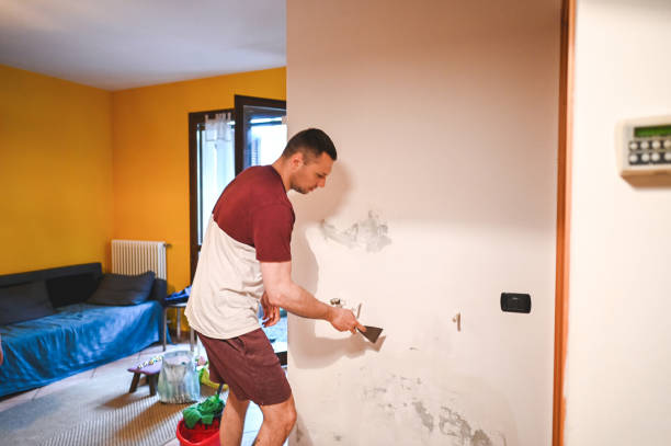 Best Mold Remediation for Schools in Pemberville, OH